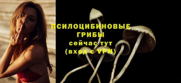 ПСИЛОЦИБИНОВЫЕ ГРИБЫ Белоозёрский