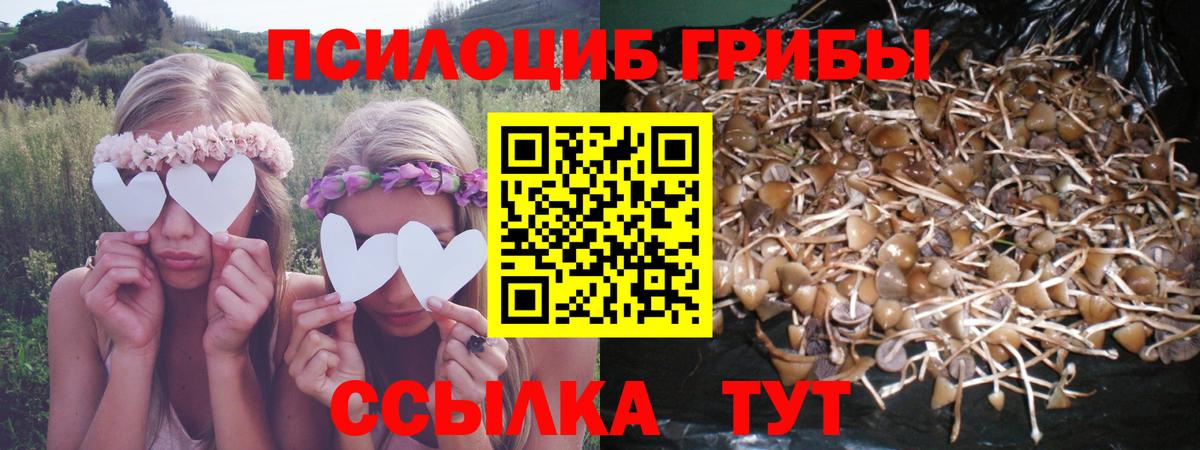 Псилоцибиновые грибы MAGIC MUSHROOMS  Псилоцибиновые грибы прущие грибы  Пятигорск  Вход с VPN 